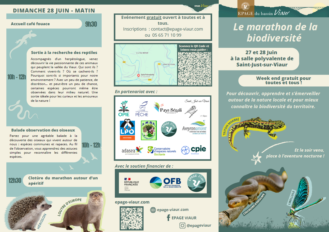flyer 1