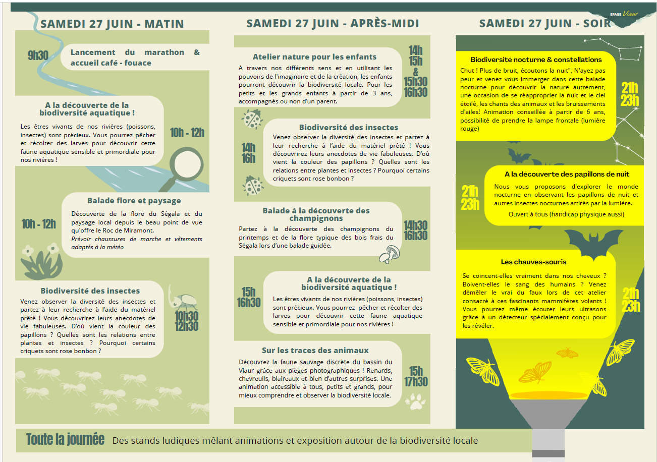 flyer 2